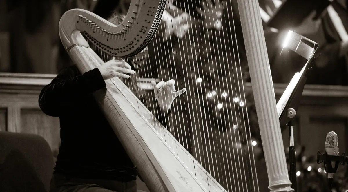 A person playing a harp